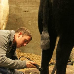 Meet your Posher, Andy